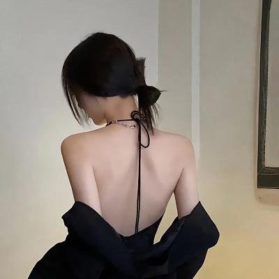 飞燕金枪